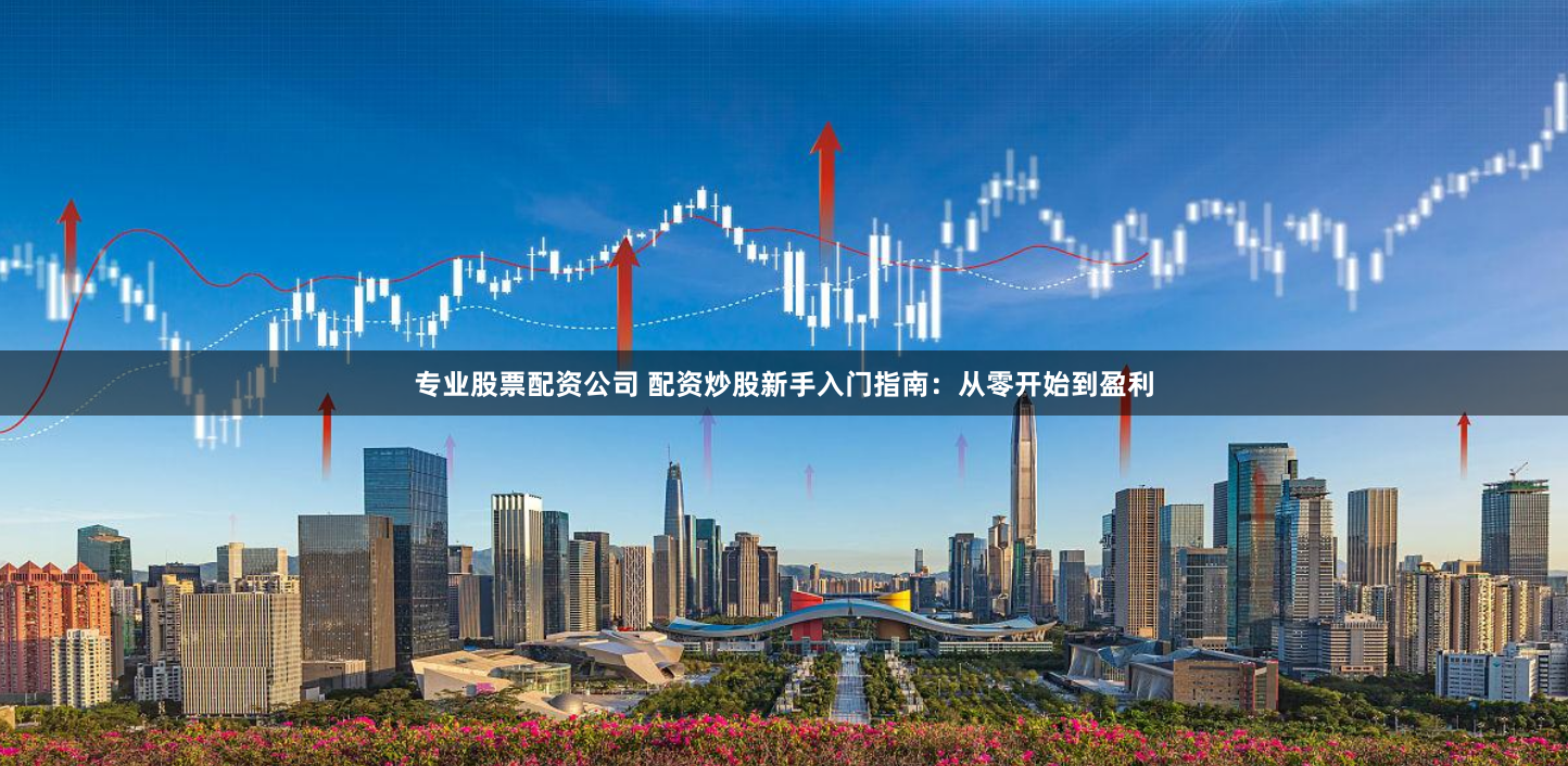 专业股票配资公司 配资炒股新手入门指南：从零开始到盈利
